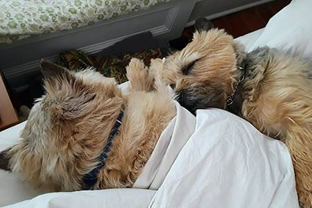 Eddie and Lizzie, snuggled in bed